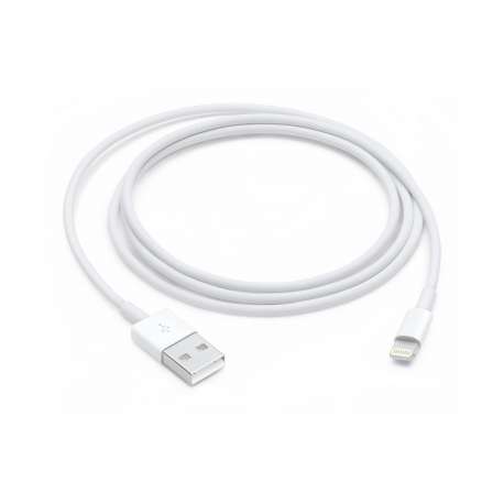 CABLE LIGHTNING APPLE 1M 